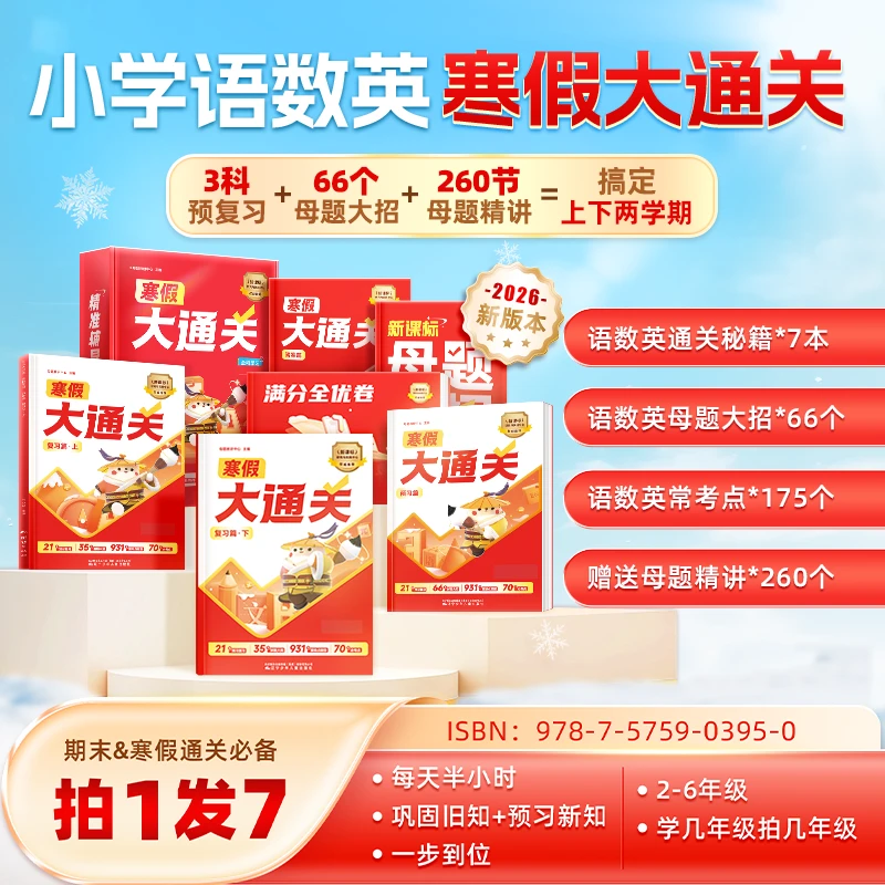 小学母题大通关 语数英全套8本 全国通用版-DS*