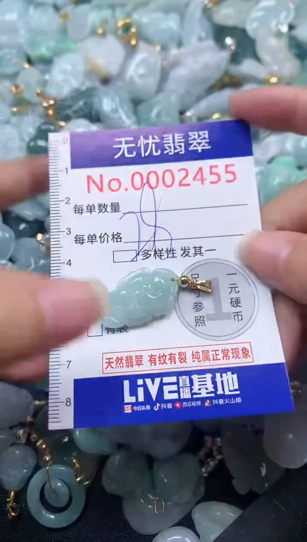 颈饰未镶嵌翡翠2455