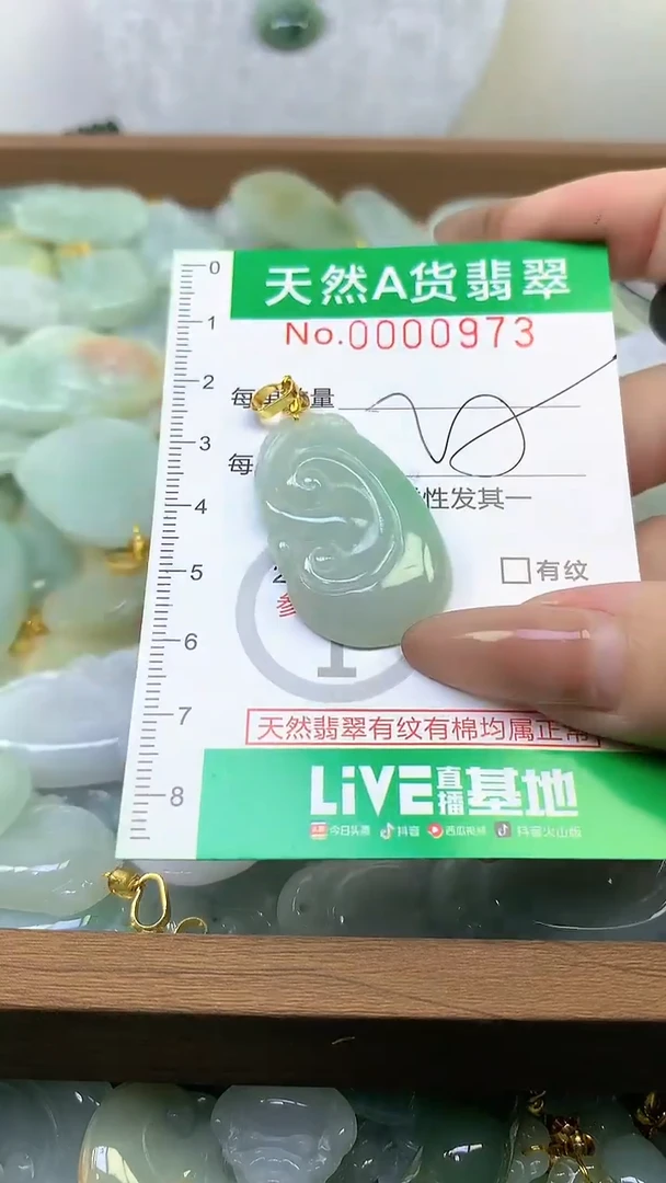 颈饰未镶嵌翡翠未镶嵌纯天然A货翡翠