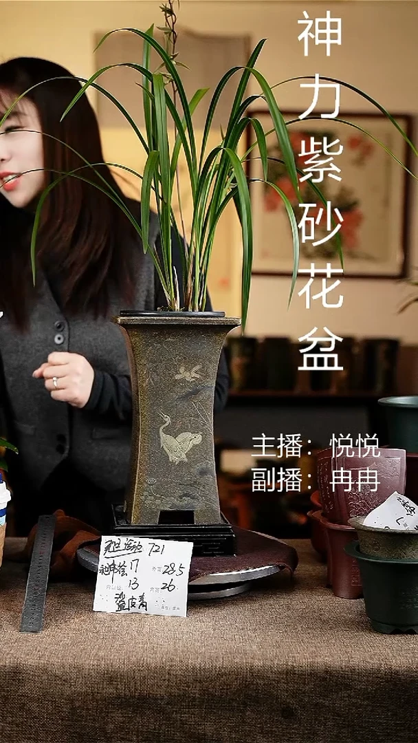 紫砂花盆花卉工艺721+s