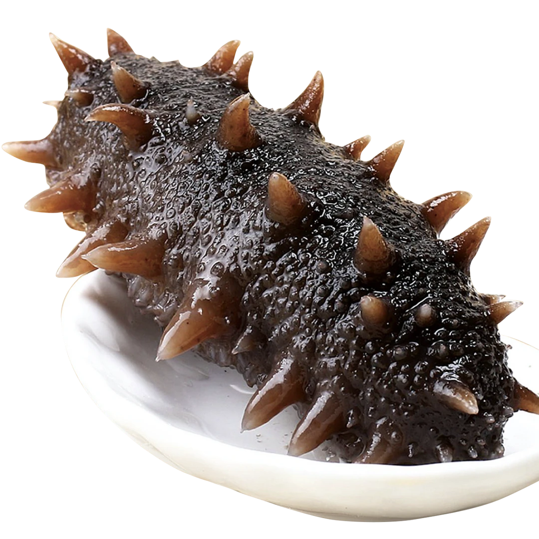 4-7根/斤 筋道口感 即食海参 蒸制海参 大连发货