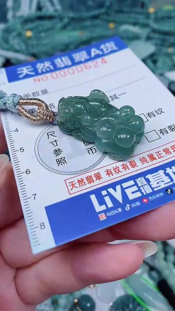 翡翠未镶嵌颈饰00000624