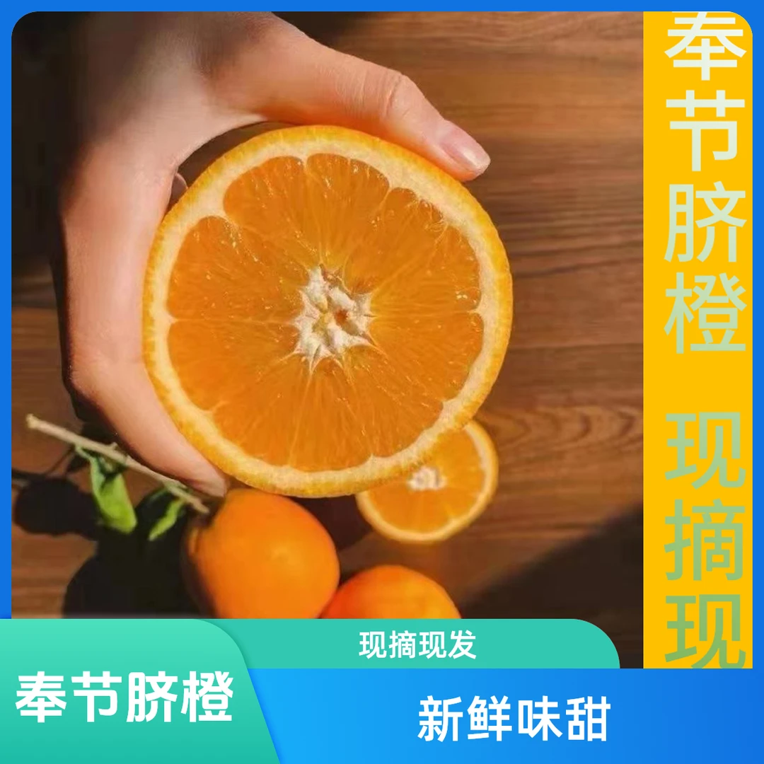 【荷塘杨专属】果农直销奉节脐橙5/10/20斤现摘现发(坏果包赔)维C
