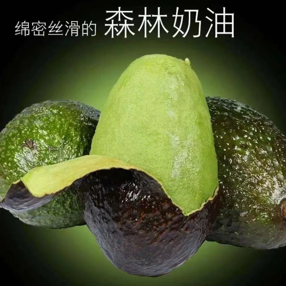 正宗秘鲁进口牛油果森林奶油果新鲜大果当季孕妇宝宝水果鳄梨整箱