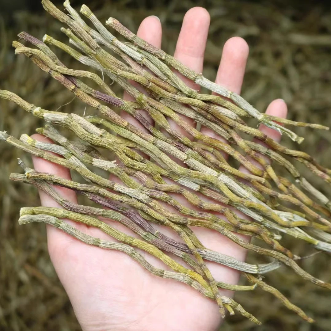 云南特产山货铁皮石斛条