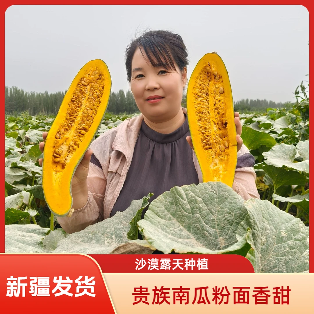 【新疆贵族丑南瓜】新疆直发沙漠种植口感细腻软糯香甜软糯粉糯可口
