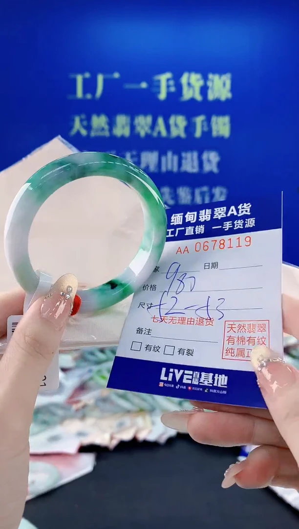 未镶嵌手镯翡翠19