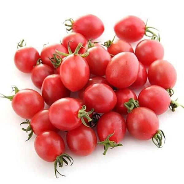 爆浆圣女果/1箱约2斤千禧圣女果广东省