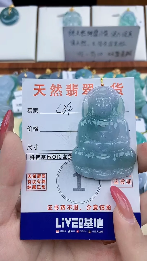 颈饰未镶嵌翡翠天然A货翡翠挂件