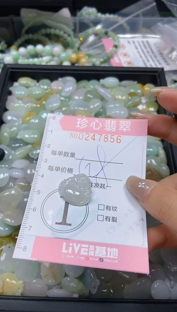 翡翠未镶嵌颈饰闪购0247856