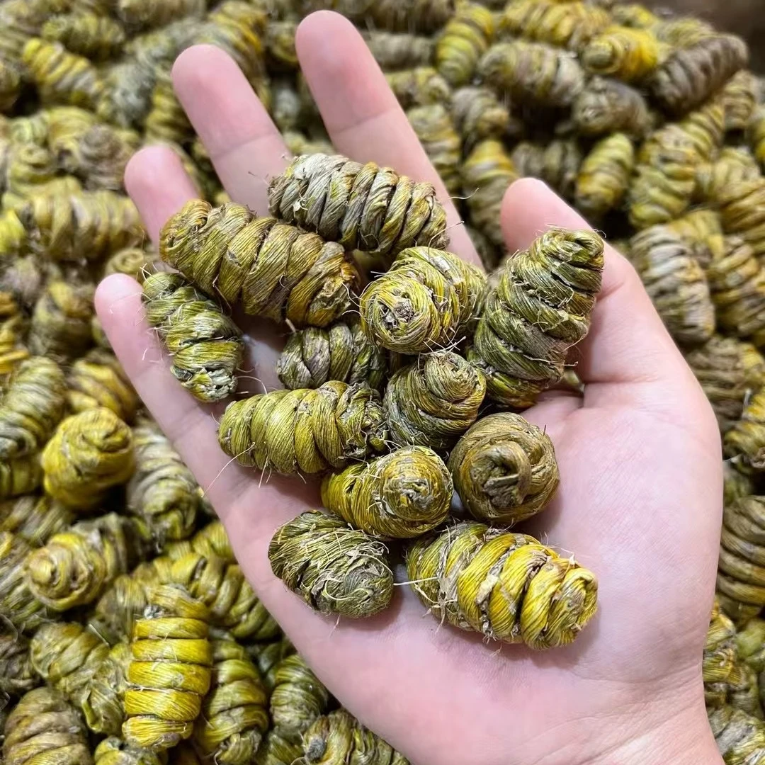 正宗优质铁皮石斛干货特级