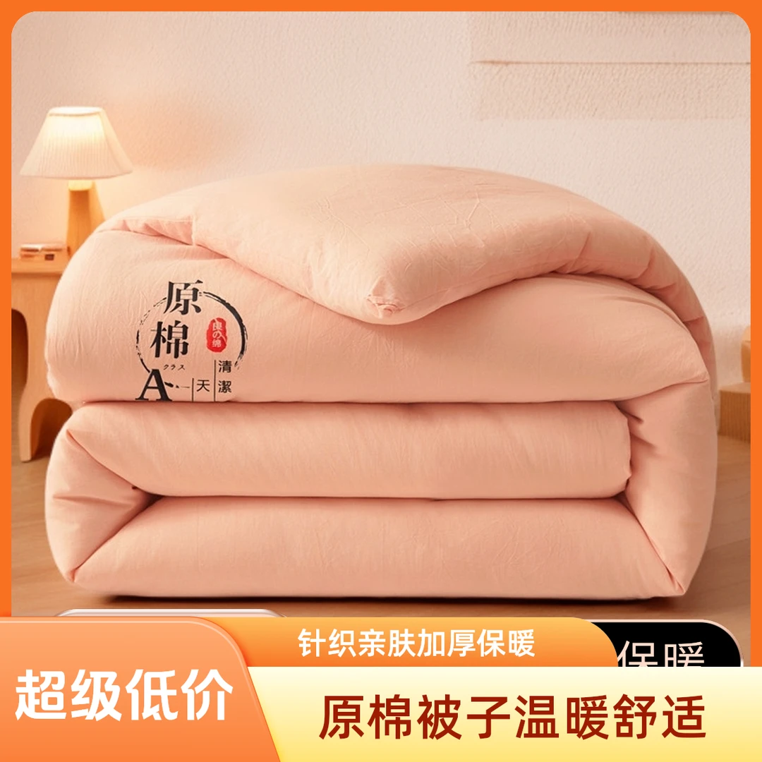 原棉秋冬被秋冬款双人被针织柔软亲肤加厚被芯被子6斤8斤