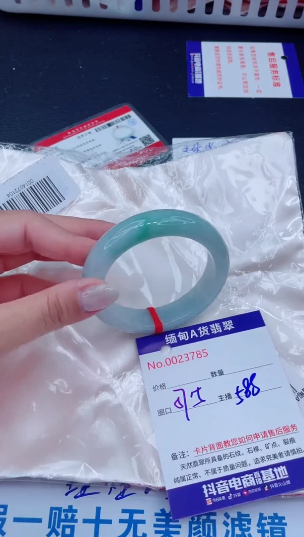 未镶嵌手镯翡翠588