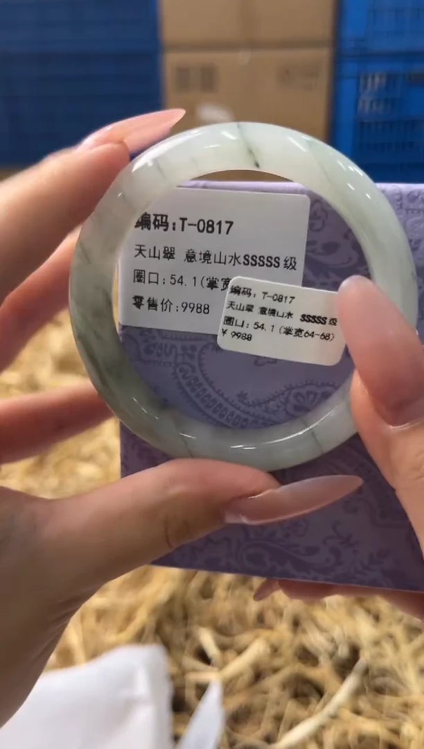 未镶嵌手镯石英质玉T0817