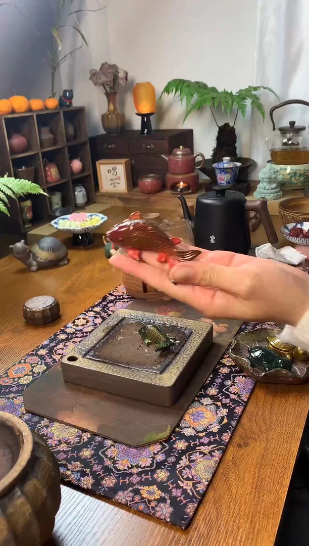 【闪购商品】变色茶宠红鲤鱼锦鲤