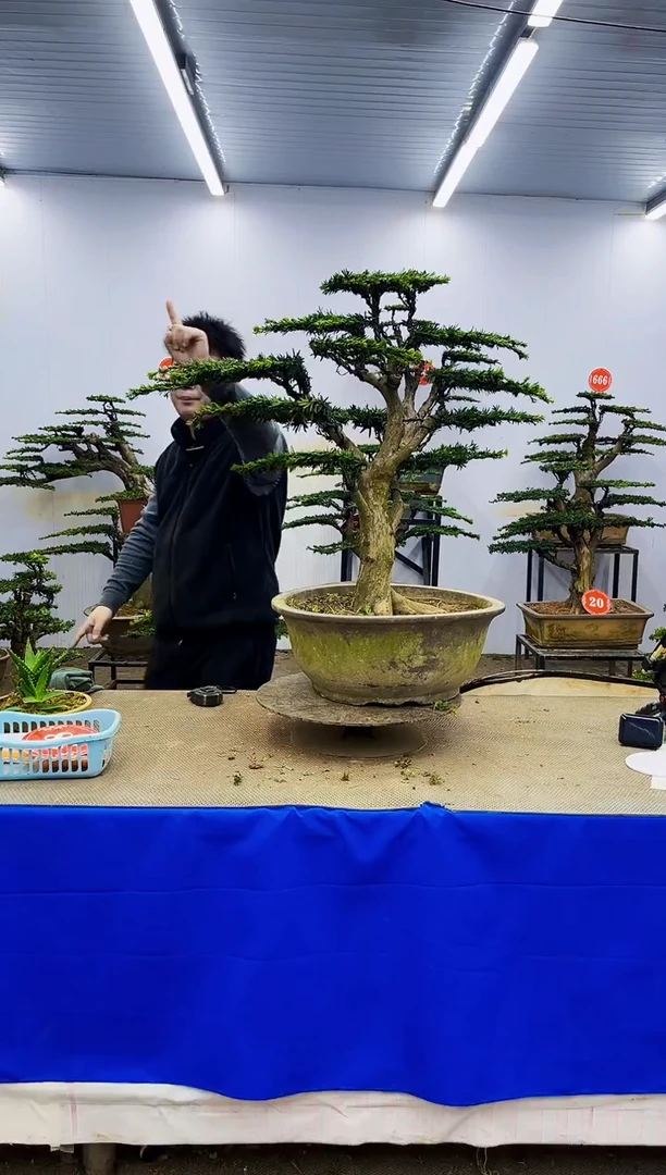 完全开放一物一拍，所见即所得