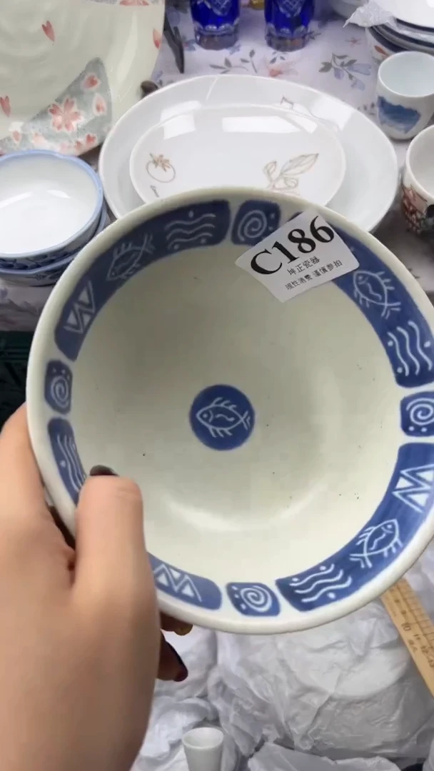 瓷片 C186