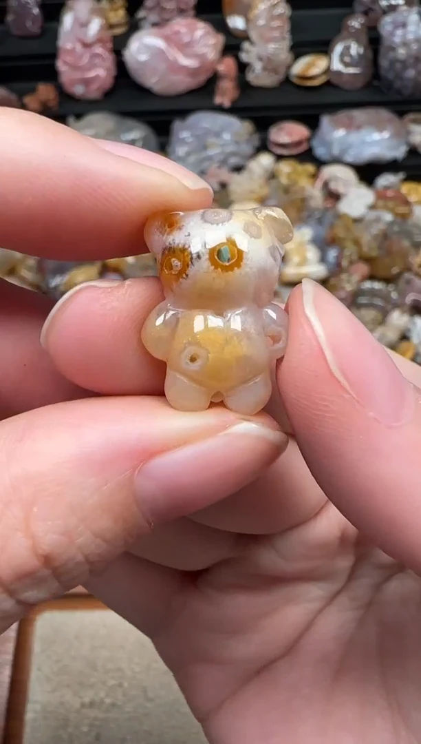 颈饰未镶嵌硅化珊瑚（珊瑚玉）069