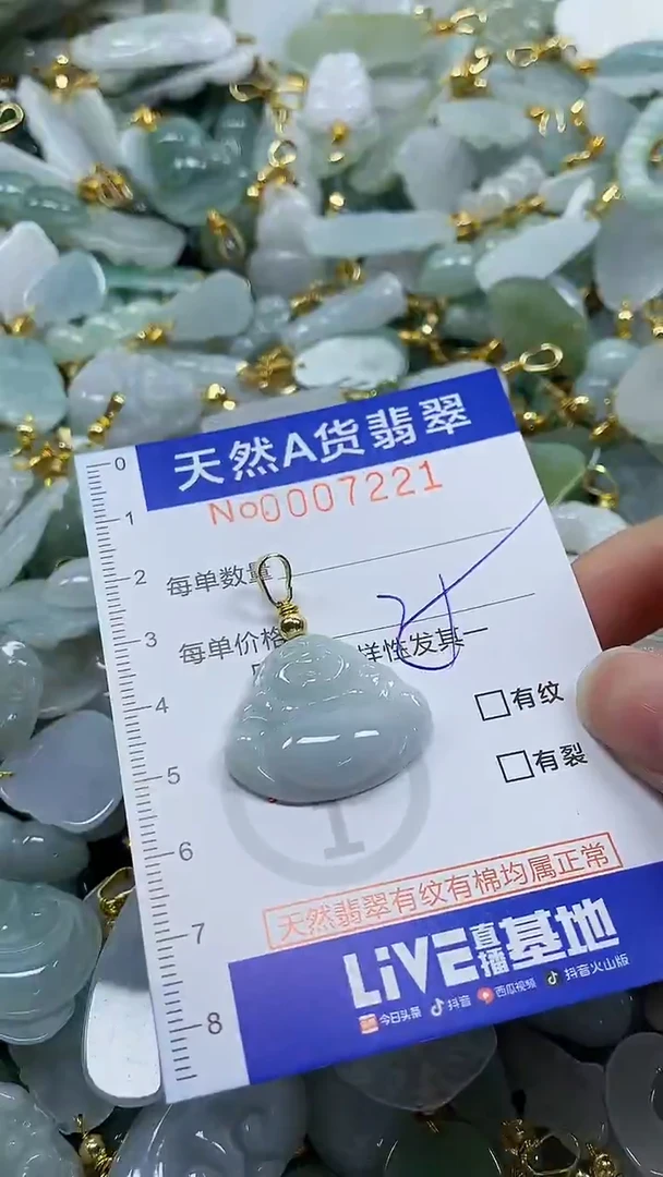 颈饰未镶嵌翡翠纯天然a货翡翠