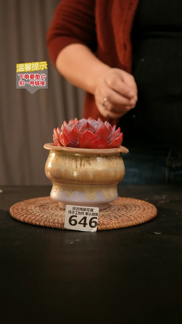 瓷片646内口径约9  外高约9