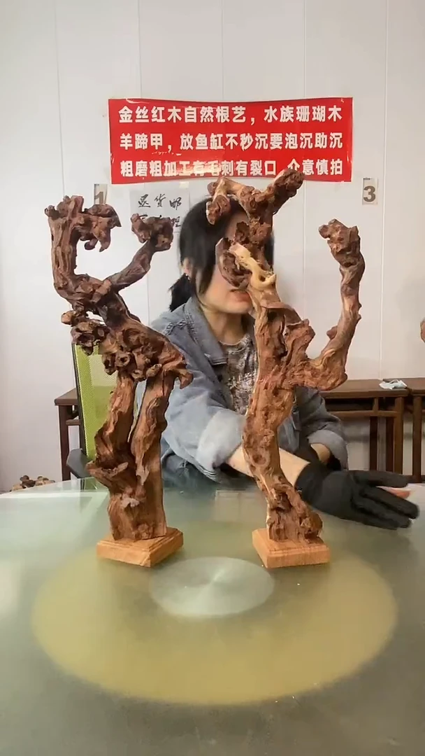 木抖***仪金丝红木 羊蹄甲2