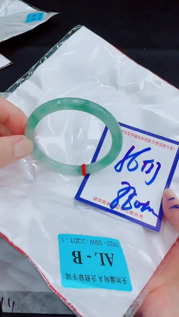 未镶嵌手镯翡翠11111111