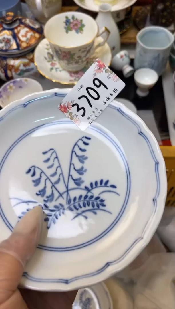 【闪购商品】轩轩瓷器 闪购类型 定向 小鱼