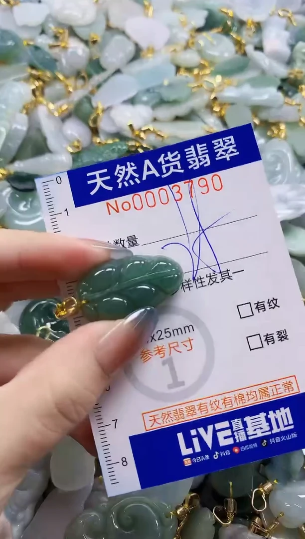 颈饰未镶嵌翡翠纯天然a货翡翠