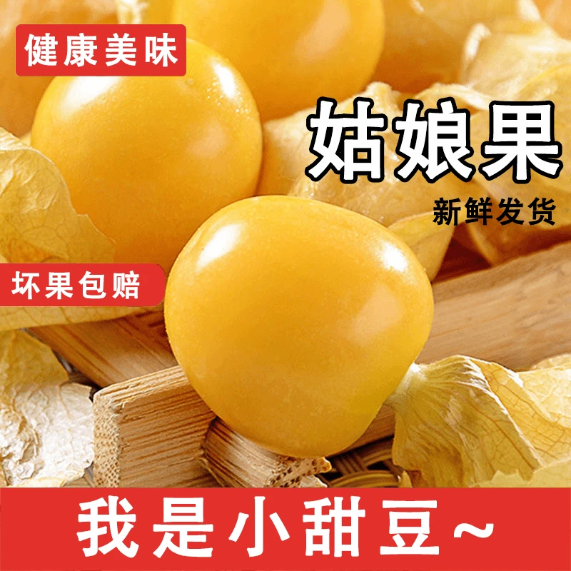 【超甜小果玲珑蜜豆】黑龙江姑娘果灯笼果甜姑娘新鲜水果
