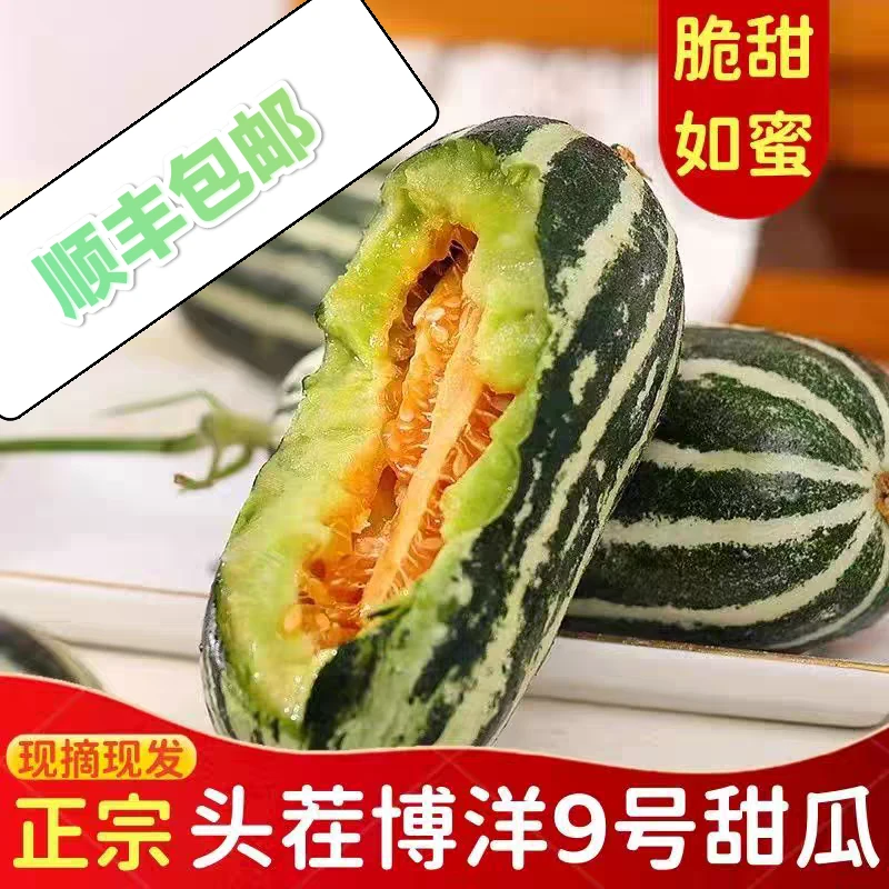 【顺丰包邮】山东头茬博洋9号甜瓜博洋蜜瓜羊角蜜甜瓜应季水果