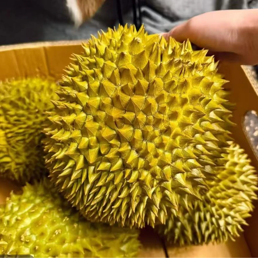 Z【顺丰次日到】泰国进口自然树熟金枕鲜榴莲甄选香甜顺丰空运包邮2~10斤核小干包黄肉新鲜金枕金枕泰国东部