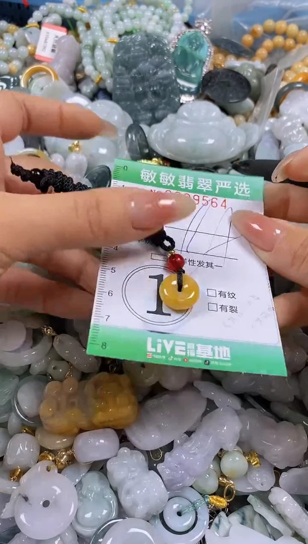 【闪购商品】翡翠颈饰未镶嵌闪购0099564