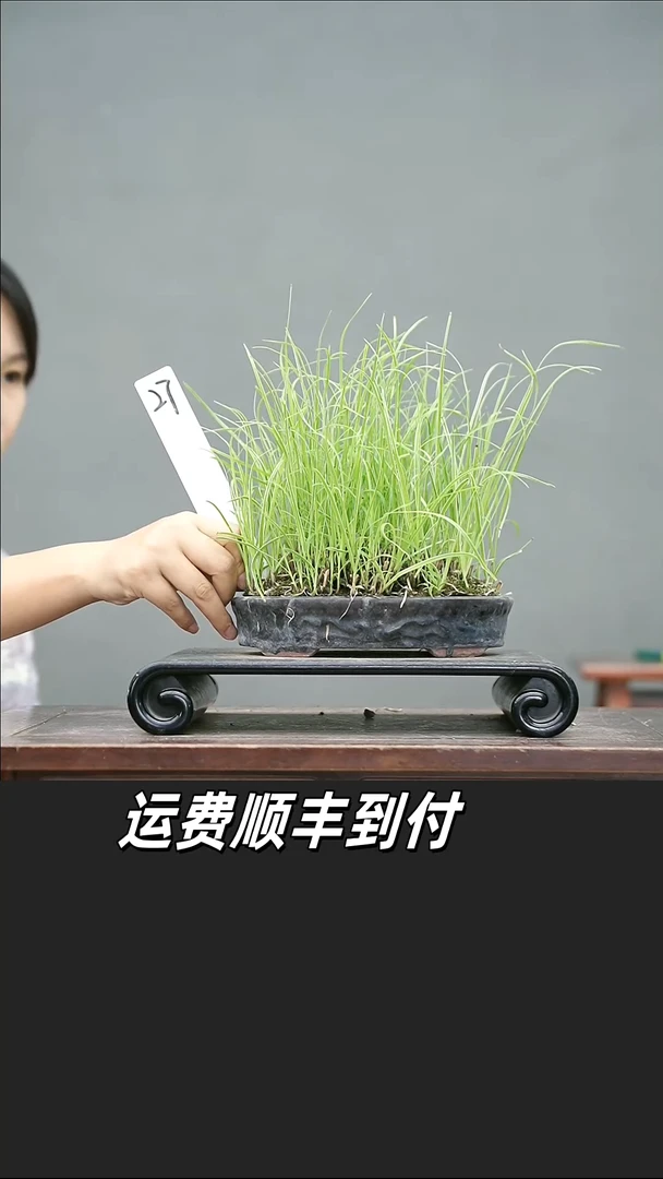 万**意27