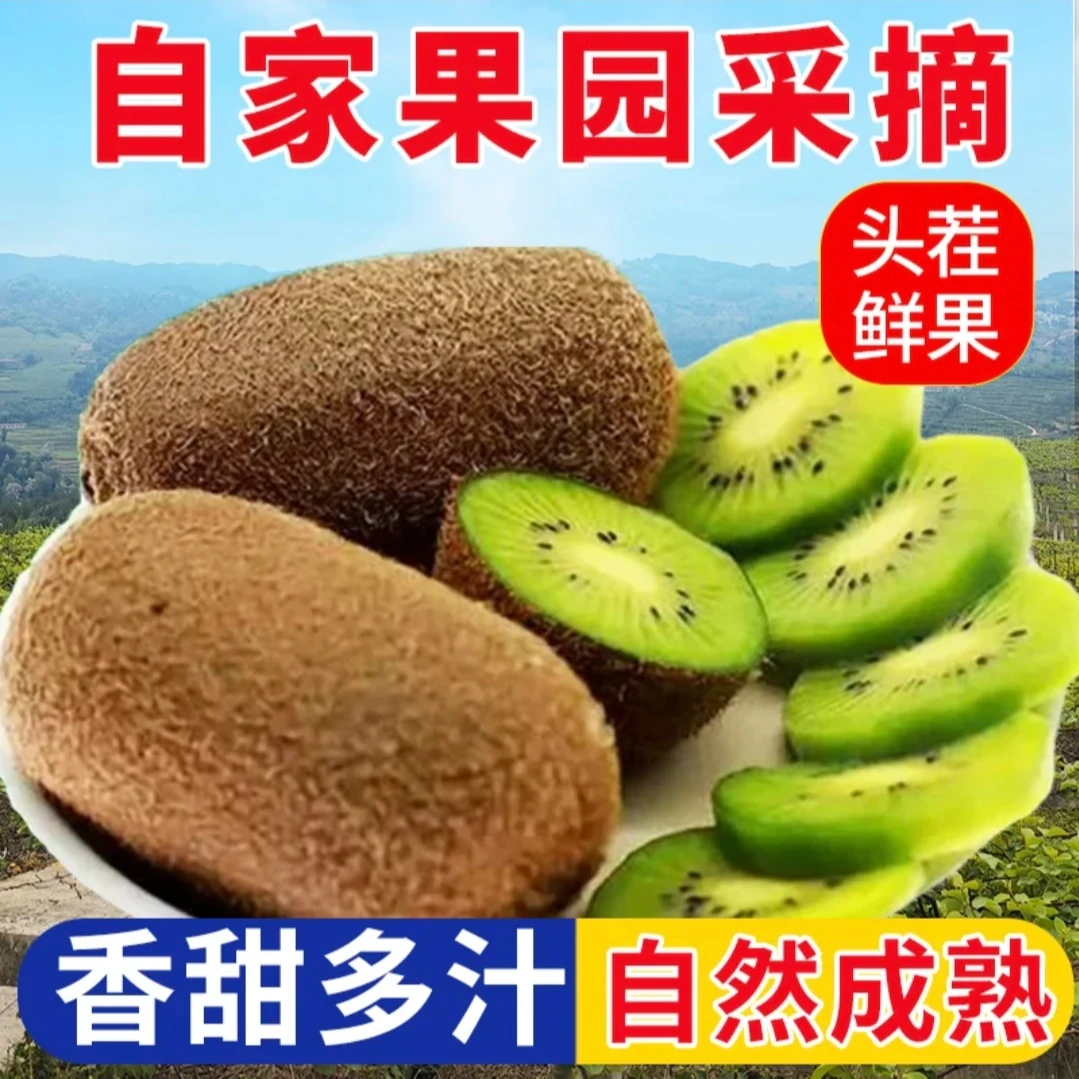 贵长猕猴桃新鲜水果 产地直发