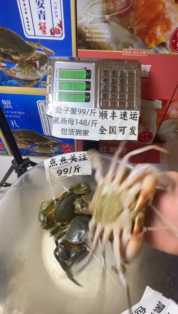 中国大陆福建漳州青蟹