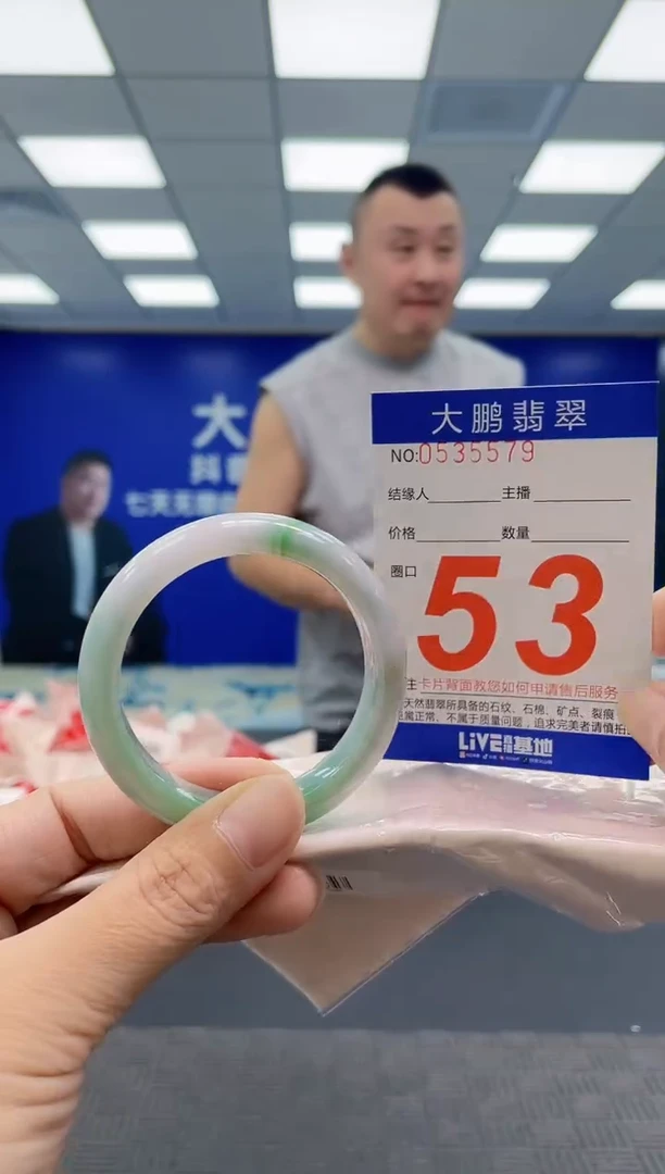 未镶嵌手镯翡翠AAAAAAAAAA