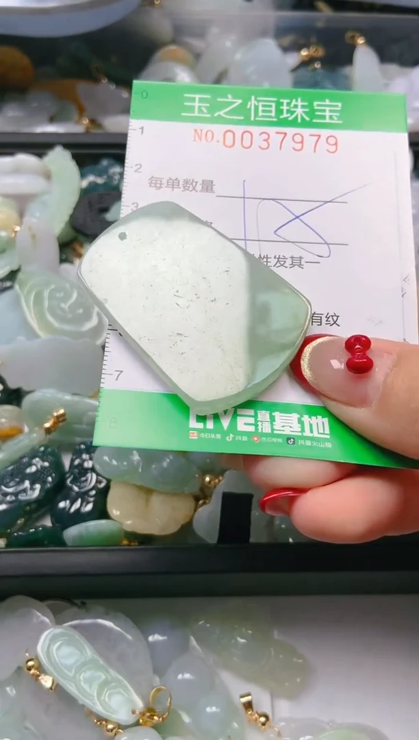 【闪购商品】翡翠颈饰未镶嵌闪购0037979
