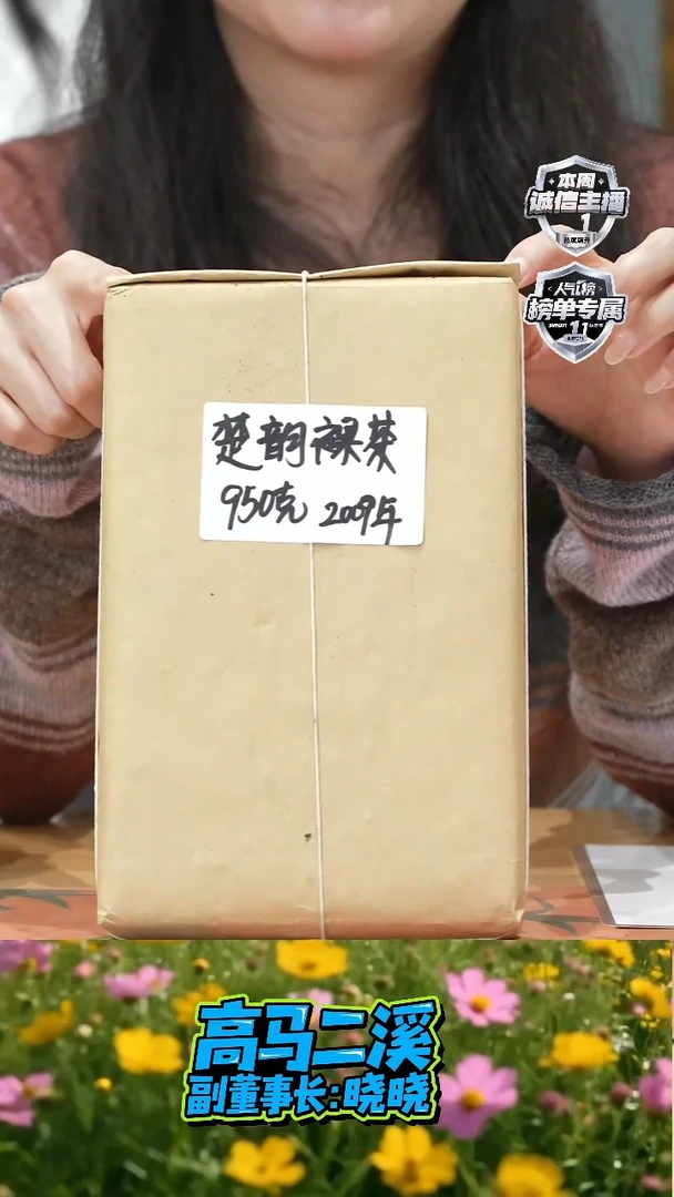 高马二溪 2009年楚韵裸装茯砖茶950克