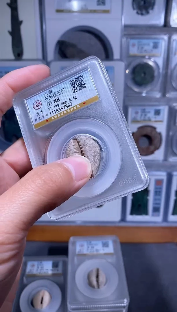 【闪购商品】铜品泉 齐系软玉贝