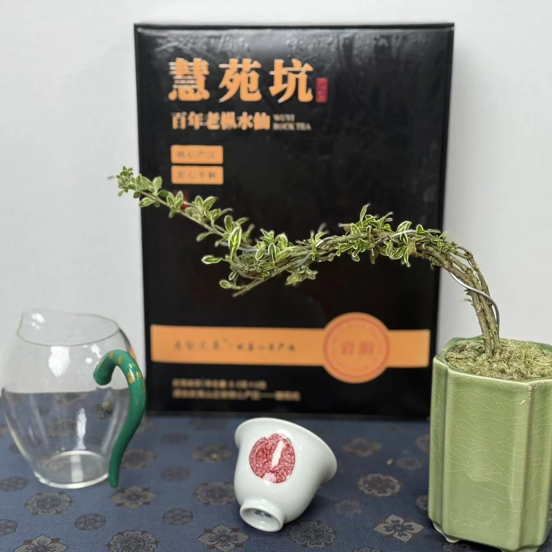 V岩壑流泉慧苑坑百年老枞水仙正岩纯料中火