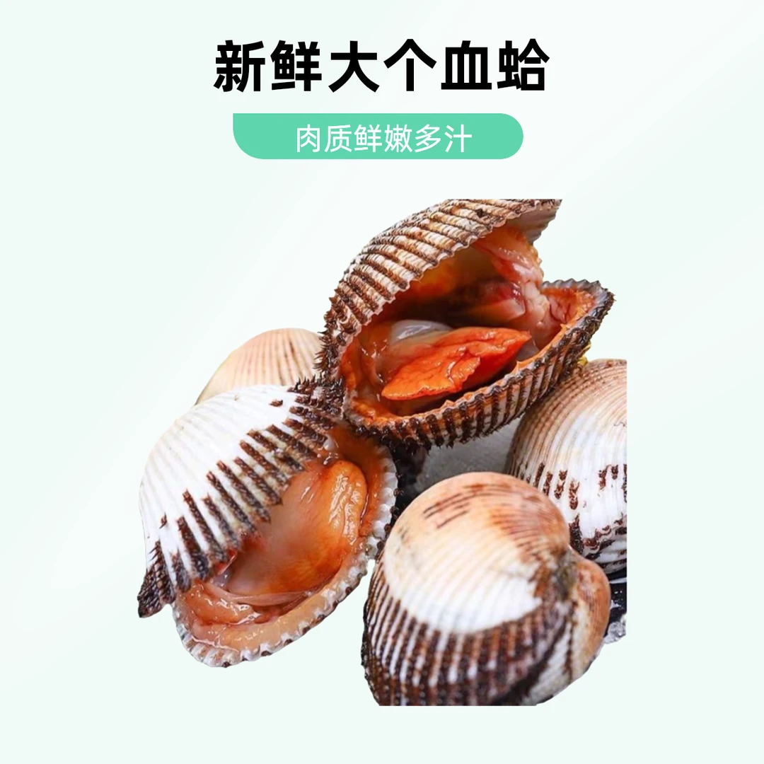 【鲜活】大毛蛤15元3斤