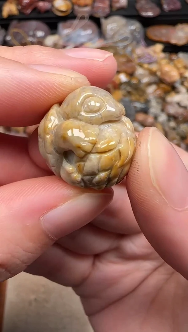 硅化珊瑚（珊瑚玉）未镶嵌颈饰058