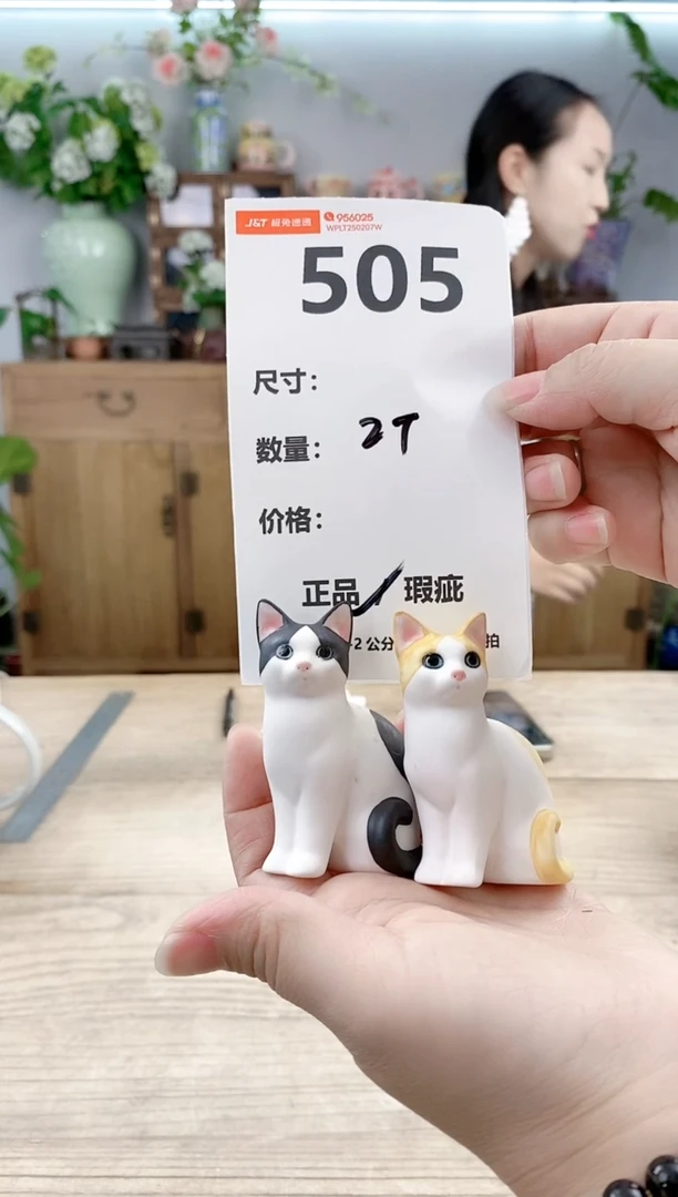 小玩子花盆直播号505