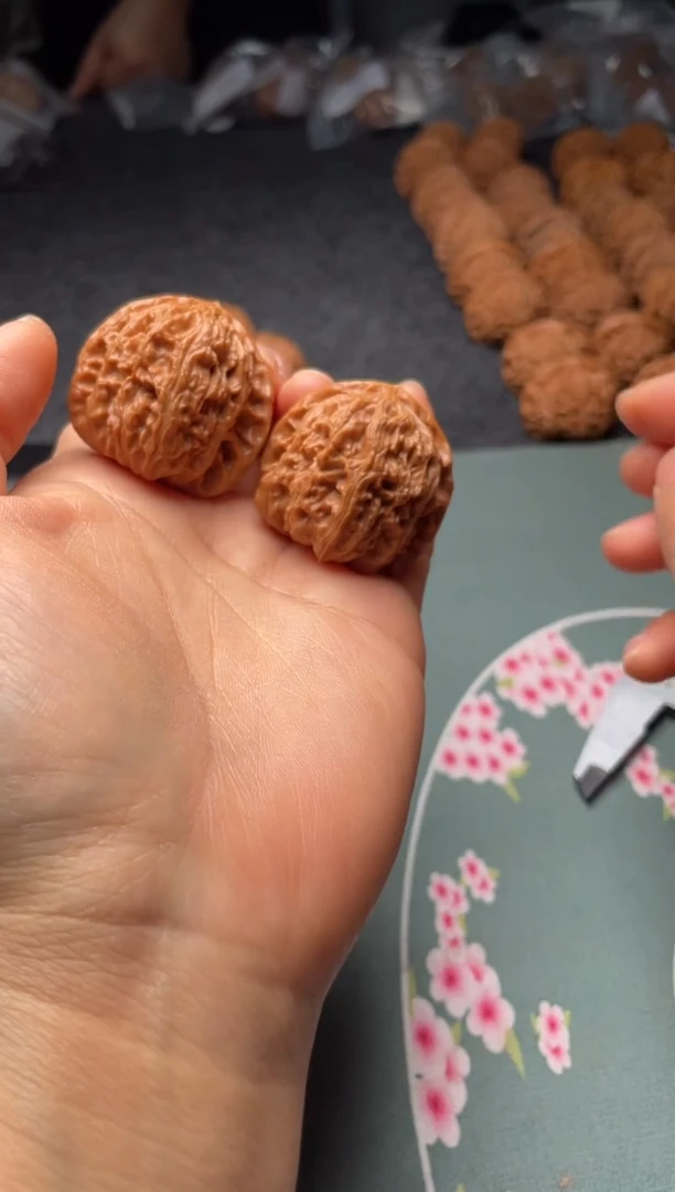 把件文玩核桃w40  白狮子36 尺