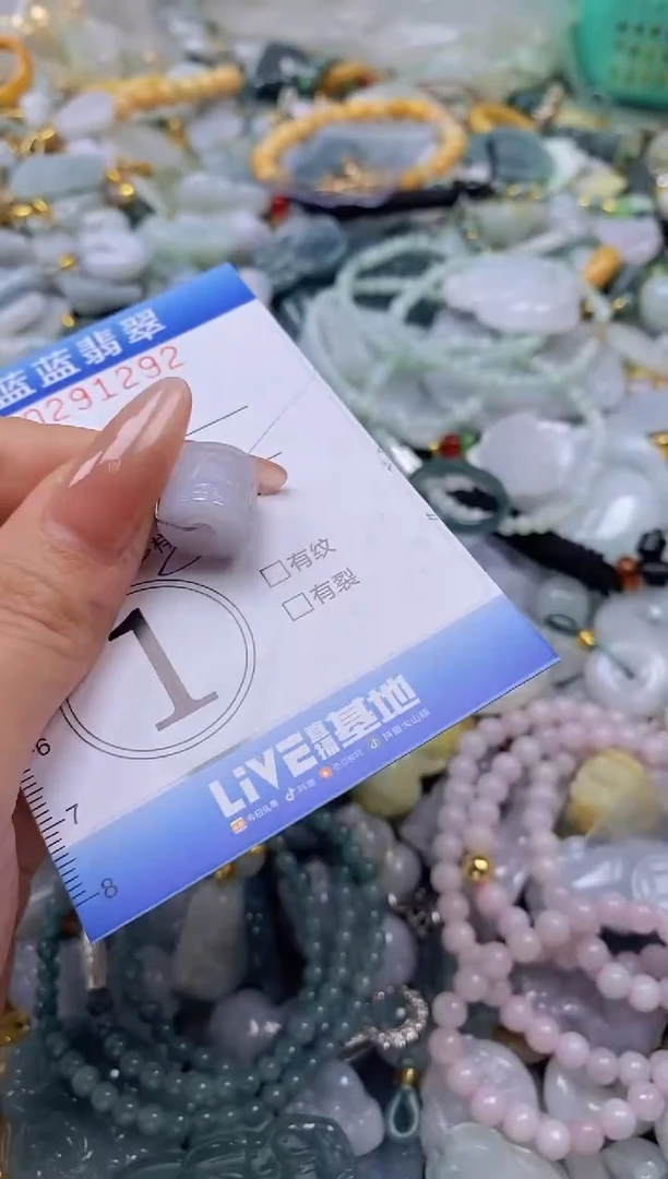 翡翠未镶嵌颈饰闪购0291292