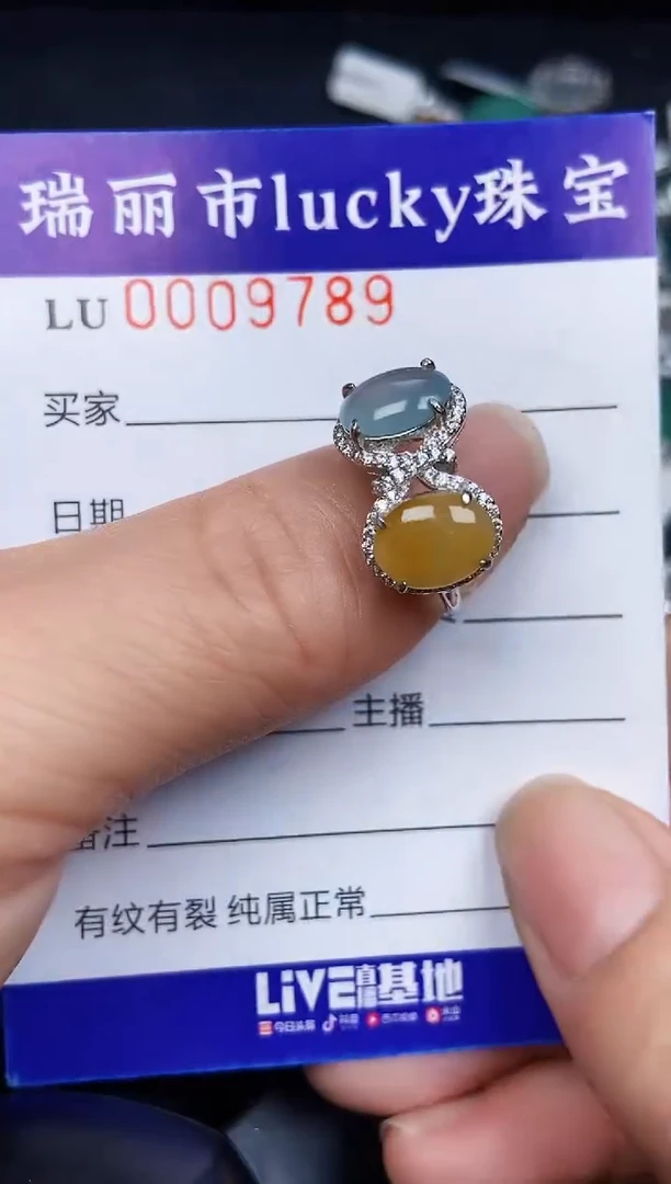 翡翠银S925镶嵌颈饰9789