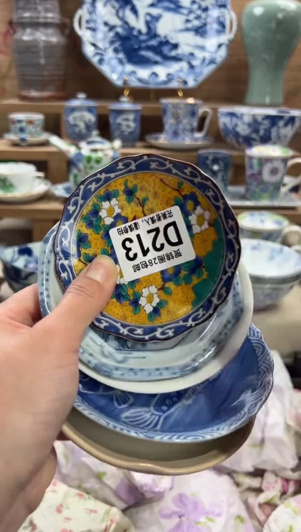 瓷片小**?       D213