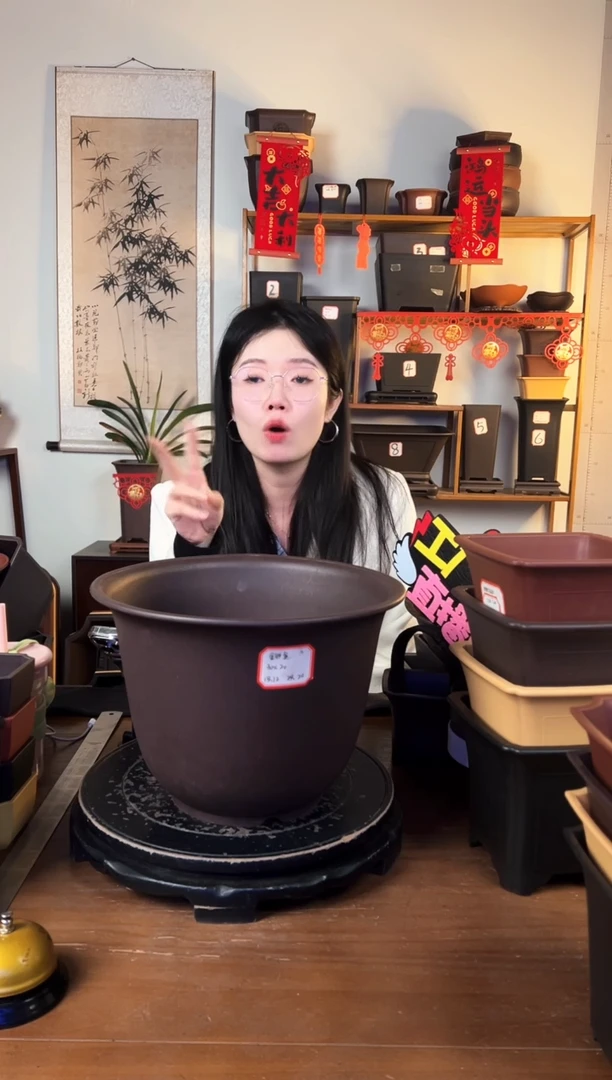 【闪购商品】树脂30金钟2只紫檀色