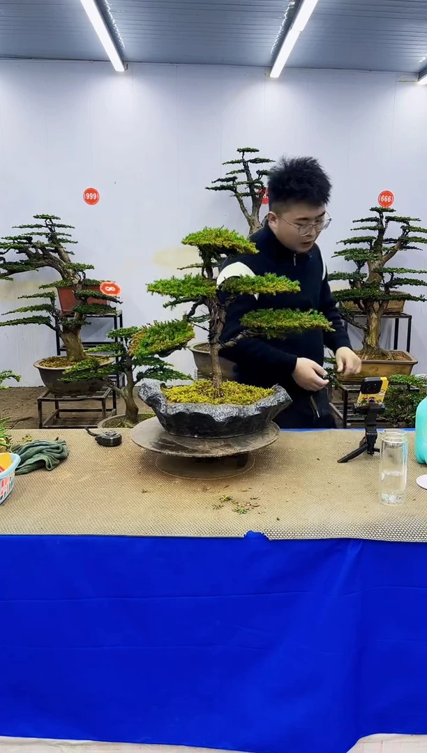 完全开放一物一拍，所见即所得