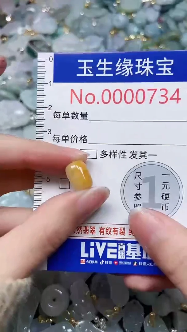 【闪购商品】翡翠颈饰未镶嵌闪购00000734